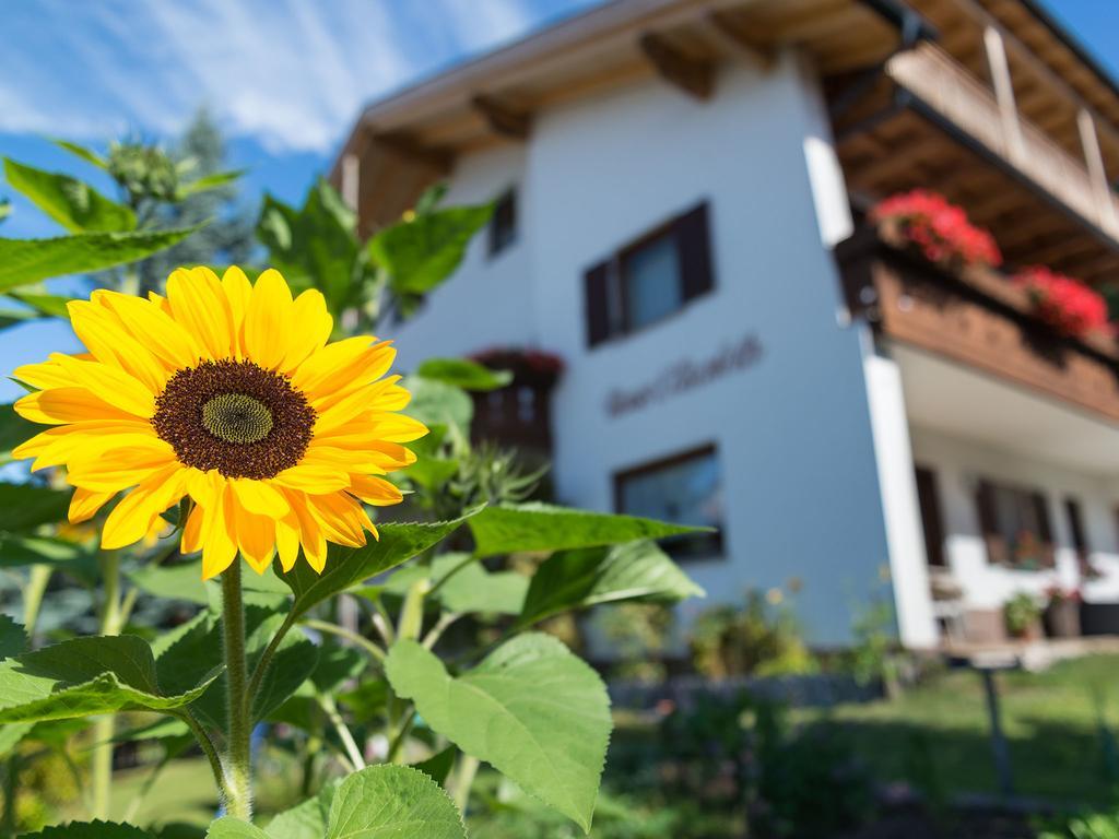 Hotel Haus Elisabeth Nova Ponente Zewnętrze zdjęcie